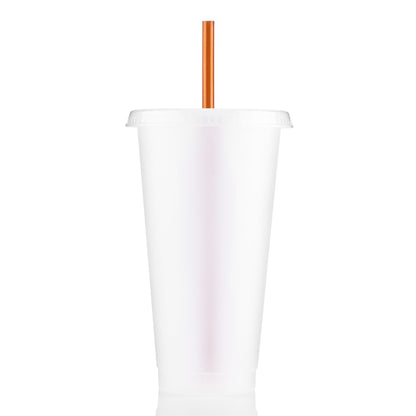 24 oz Aurora Tumbler